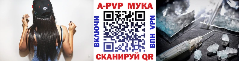 A PVP СК КРИС  Певек 