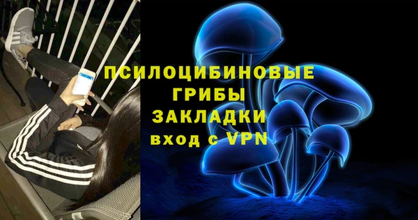 прущая мука Аркадак