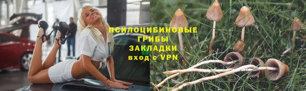 МДМА Арсеньев