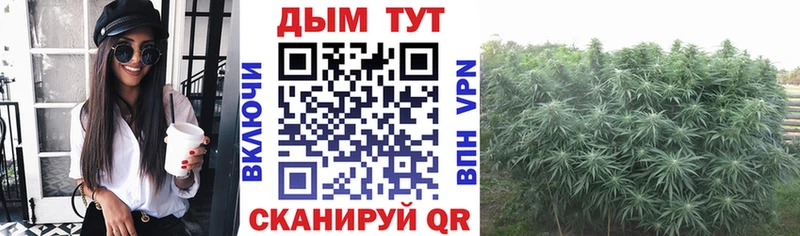 МАРИХУАНА ГИДРОПОН  Певек 